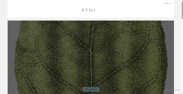 Security scan screenshot of https://ayni.se
