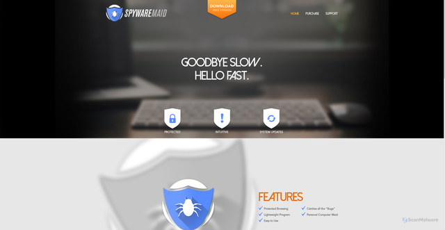 Security scan screenshot of https://spywaremaid.com