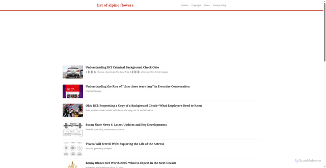 Security scan screenshot of https://vistalokalflow-dpmdyp2ylod7.edgeone.app/