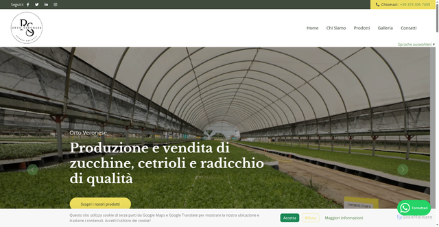 Security scan screenshot of https://ortoveronese.com/