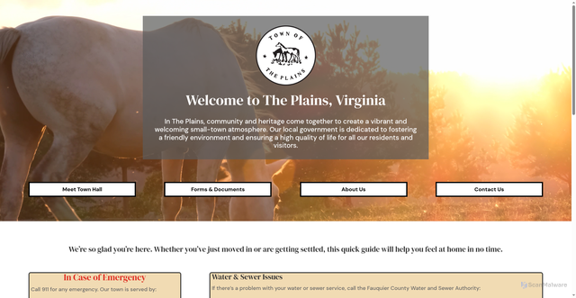 Security scan screenshot of https://www.townoftheplainsvirginia.gov/