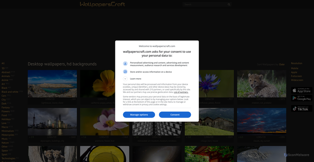 Security scan screenshot of https://wallpaperscraft.com