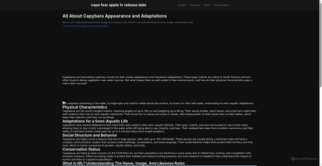 Security scan screenshot of https://antifazonlineblog-dpso1w19jbsi.edgeone.app/all-about-capybara-appearance-and-adaptations.html