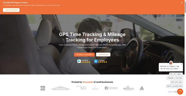 Security scan screenshot of https://timeero.com