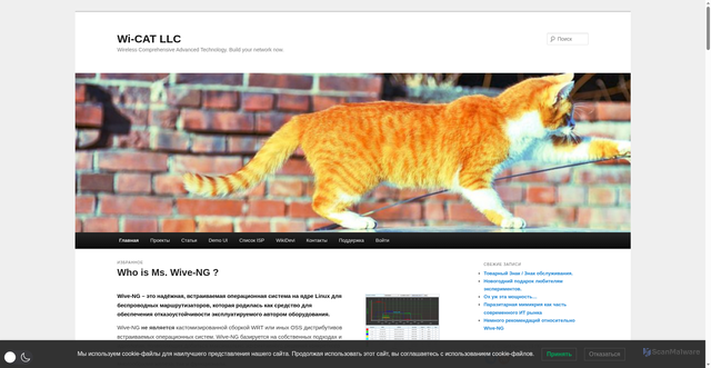 Security scan screenshot of https://wi-cat.ru