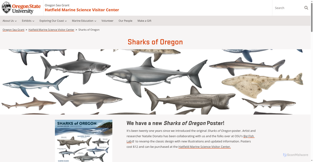 Security scan screenshot of https://seagrant.oregonstate.edu/visitor-center/sharks-oregon