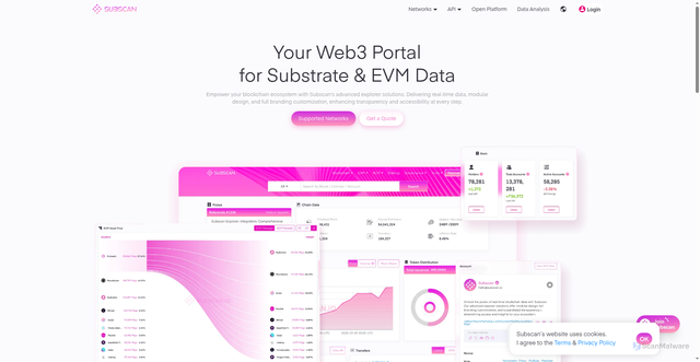 Security scan screenshot of https://webapi.subscan.io