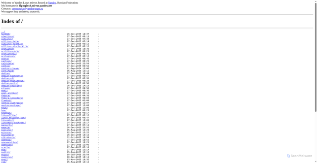 Security scan screenshot of https://mirror.yandex.ru