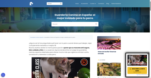 Security scan screenshot of https://guarderiacanina.pro