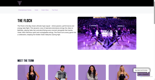 Security scan screenshot of https://valkyries.com/entertainment-teams/the-flock/