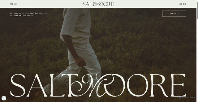 Security scan screenshot of https://saltmoore.co.uk