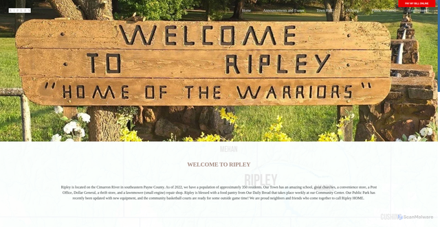 Security scan screenshot of https://www.townofripleyok.gov/