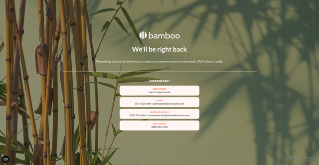 Security scan screenshot of https://bambooinsurance.com