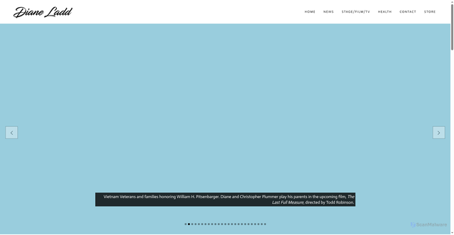 Security scan screenshot of http://dianeladd.com/home/