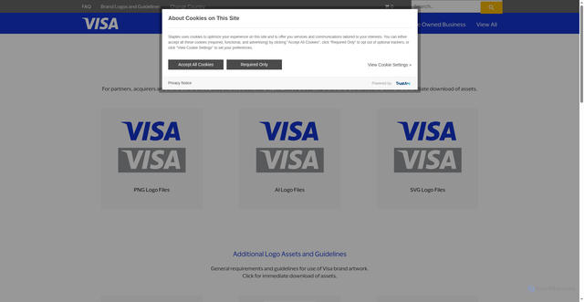 Security scan screenshot of https://merchantsignage.visa.com/brandguidelines