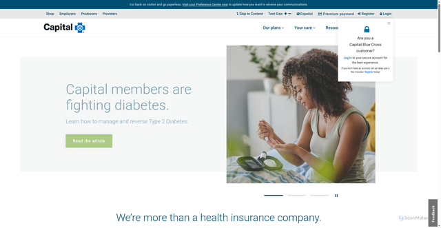 Security scan screenshot of https://www.capbluecross.com