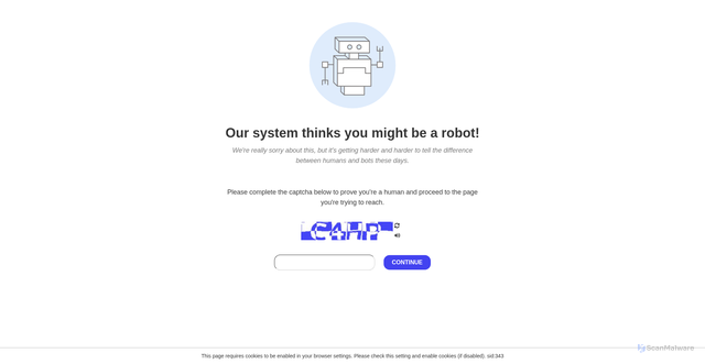 Security scan screenshot of https://www.bellinghamfitness.com/