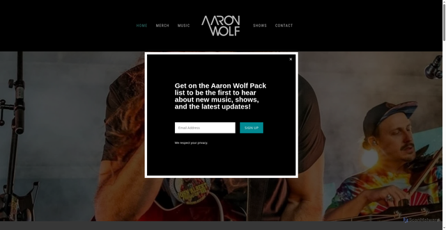 Security scan screenshot of https://www.aaronwolfmusic.com/