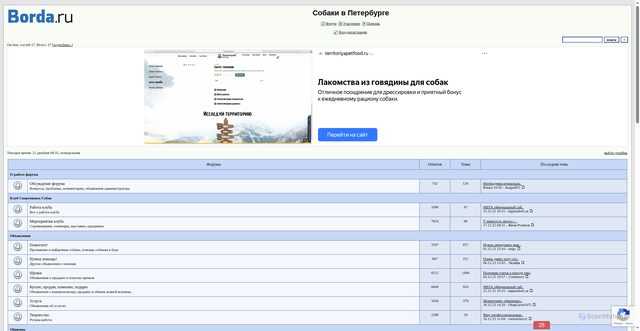 Security scan screenshot of https://piter-dogs.forum24.ru