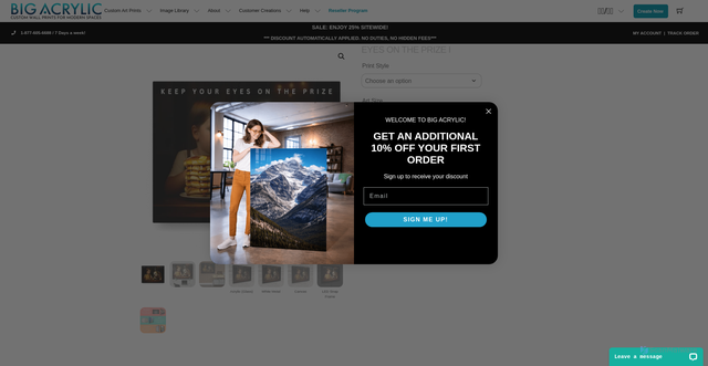 Security scan screenshot of https://www.bigacrylic.com/product/eyes-on-the-prize-i/