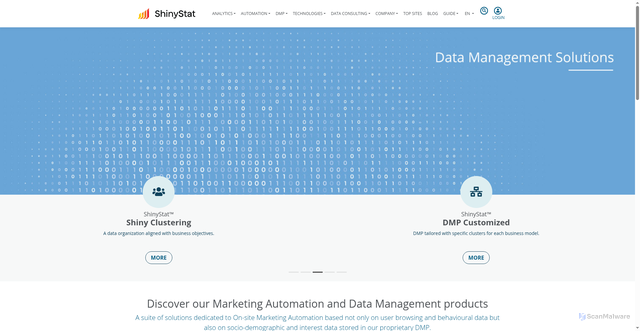 Security scan screenshot of https://s2.shinystat.com