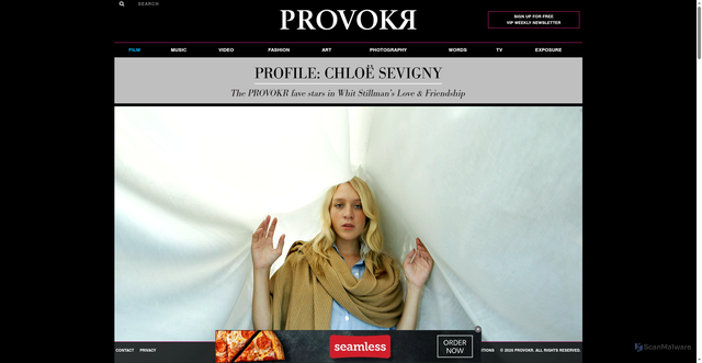 Security scan screenshot of https://provokr.com/film/profile-chloe-sevigny/
