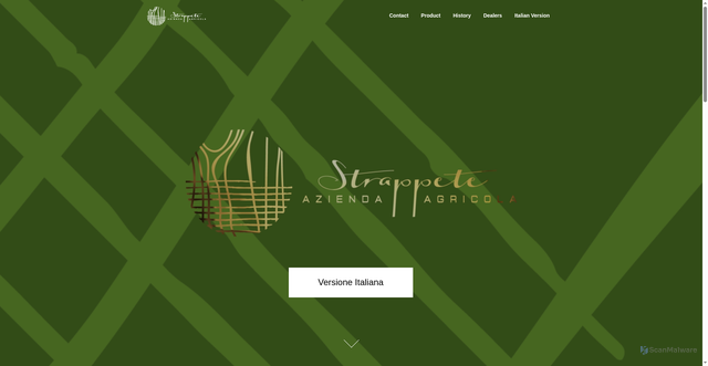 Security scan screenshot of https://strappete.it