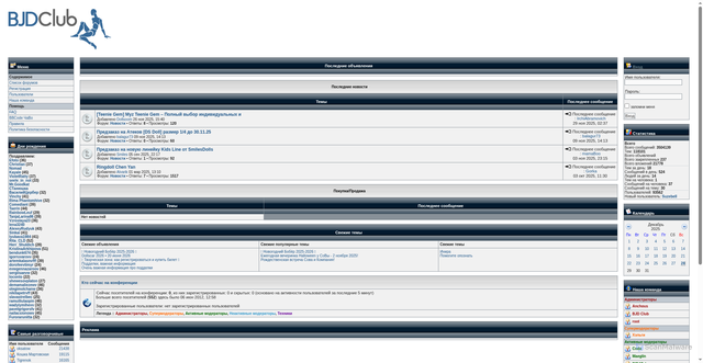 Security scan screenshot of https://www.bjdclub.ru