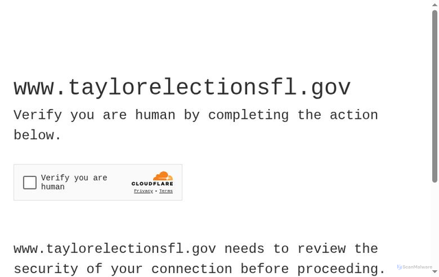 Security scan screenshot of https://www.taylorelectionsfl.gov/
