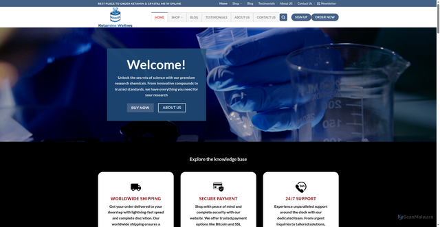 Security scan screenshot of https://ketaminewellnes.com/