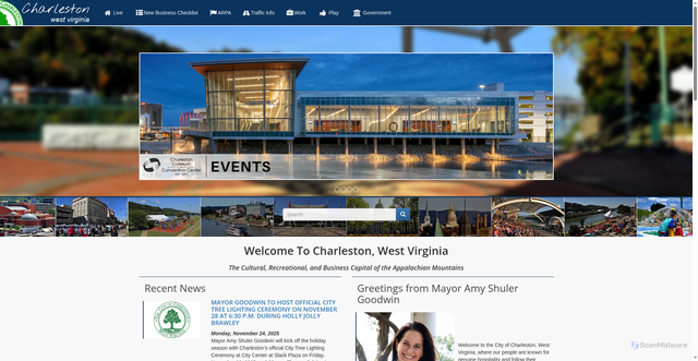 Security scan screenshot of https://charlestonwv.gov/