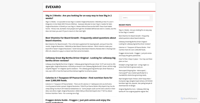 Security scan screenshot of http://rokasetu.pages.dev/