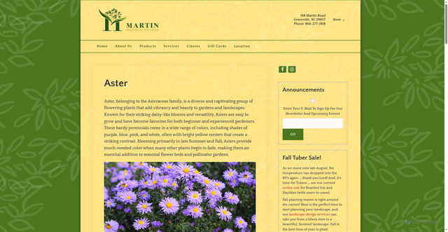 Security scan screenshot of https://www.martinnursery.com/aster/