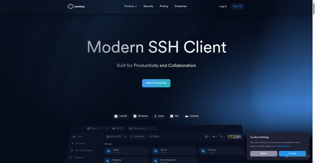 Security scan screenshot of https://termius.com