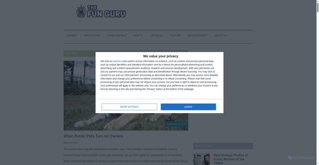 Security scan screenshot of https://thefun-guru.com