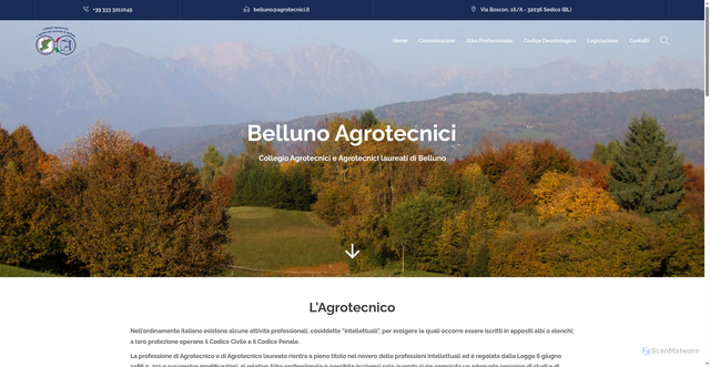 Security scan screenshot of https://www.bellunoagrotecnici.it