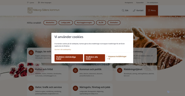 Security scan screenshot of https://malung-salen.se/