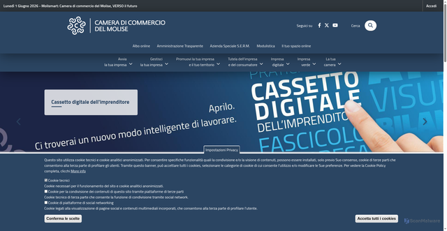 Security scan screenshot of https://www.molise.camcom.gov.it