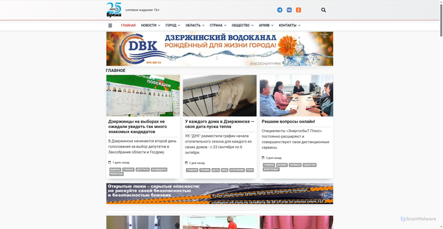 Security scan screenshot of https://dzer.ru