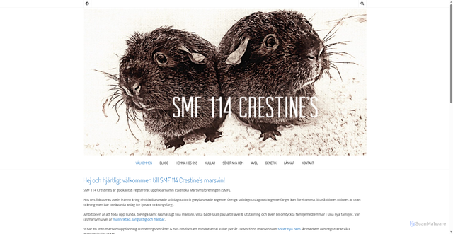 Security scan screenshot of https://crestines.se