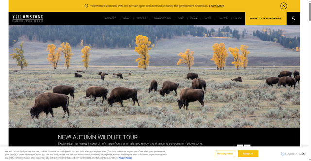Security scan screenshot of https://www.yellowstonenationalparklodges.com/
