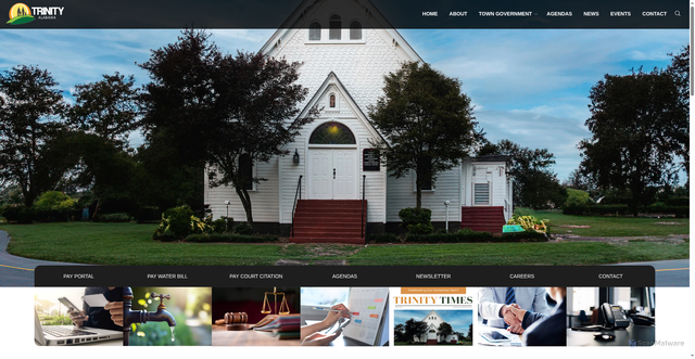 Security scan screenshot of https://trinityal.gov/