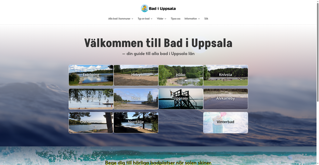 Security scan screenshot of https://badiuppsala.se