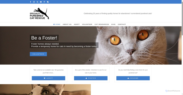 Security scan screenshot of https://purebredcatrescue.org