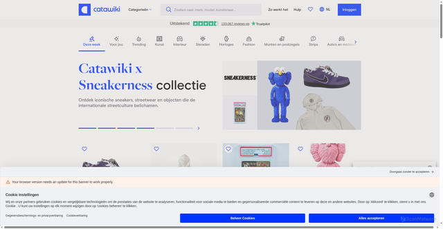 Security scan screenshot of https://catawiki.nl