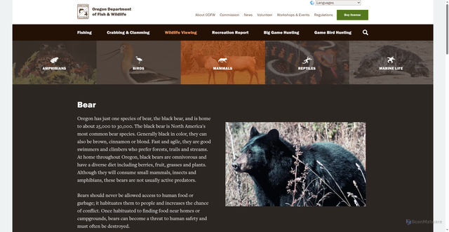 Security scan screenshot of https://myodfw.com/wildlife-viewing/species/bear