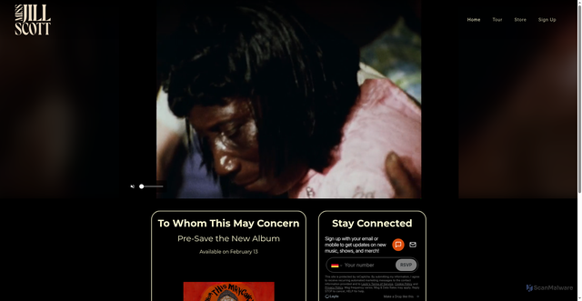 Security scan screenshot of https://missjillscott.com/