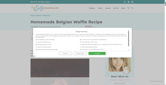 Security scan screenshot of https://thesaltymarshmallow.com/homemade-belgian-waffle-recipe/