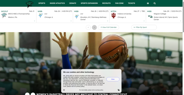 Security scan screenshot of https://www.gocsucougars.com