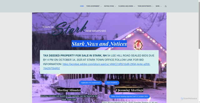 Security scan screenshot of https://starknh.gov/